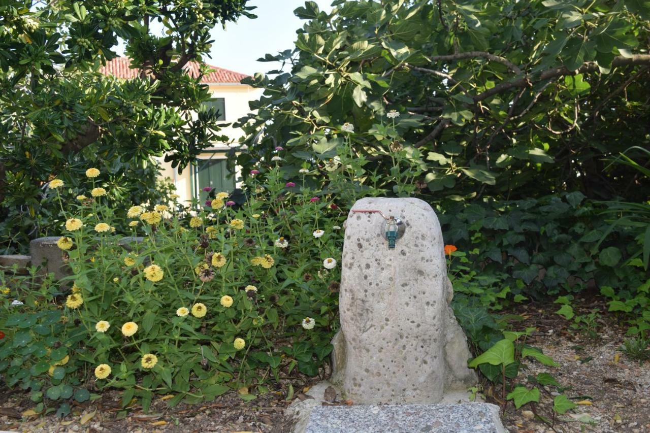 Apartmani Anđela i Mladen Debelić Rab Town Dış mekan fotoğraf